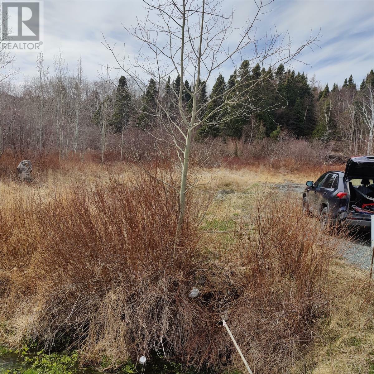 229 Main Street North  Glovertown NL A0G 2L0 photo