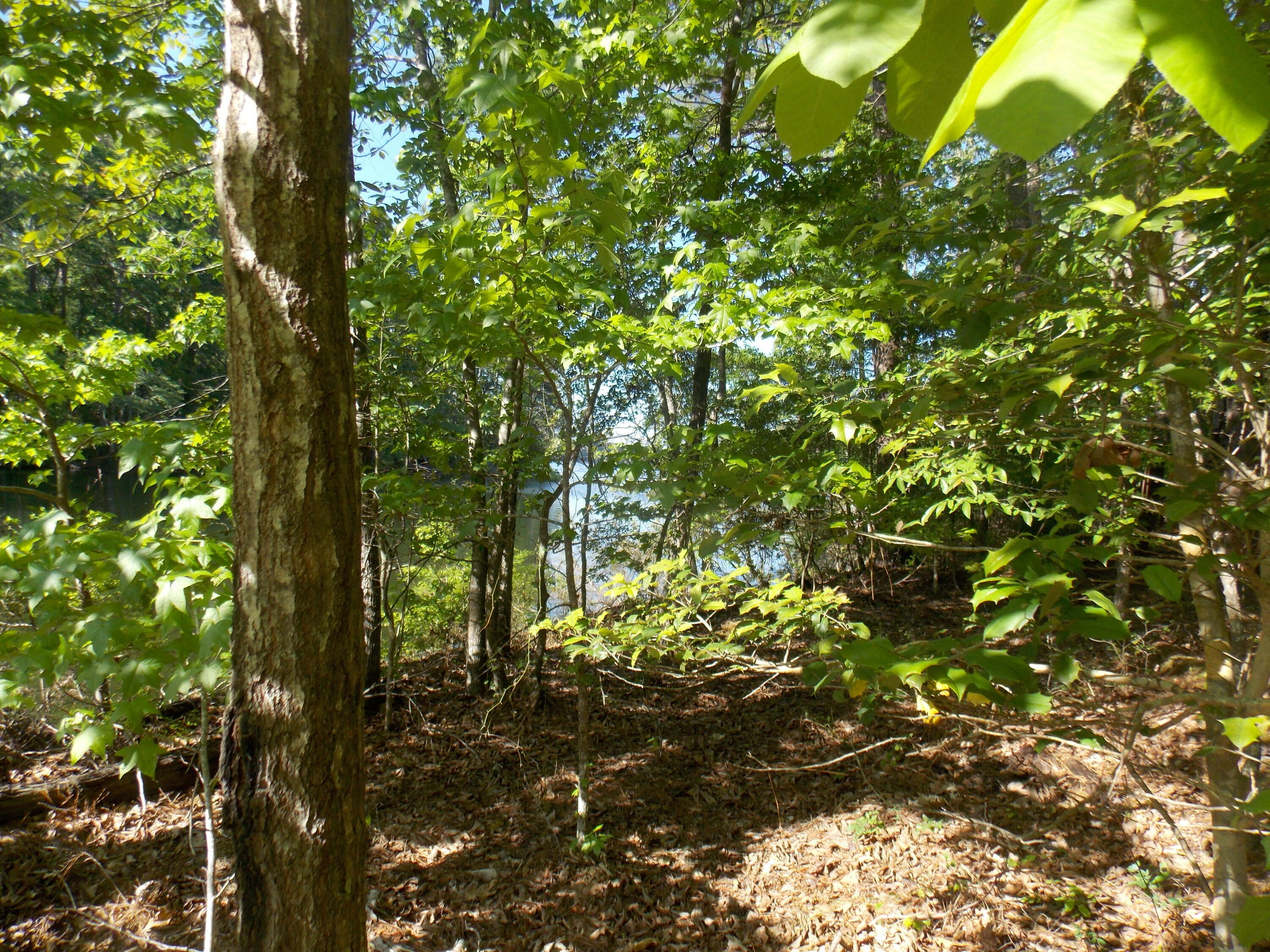 Property Photo: 13 Riverview Ct GA 30817