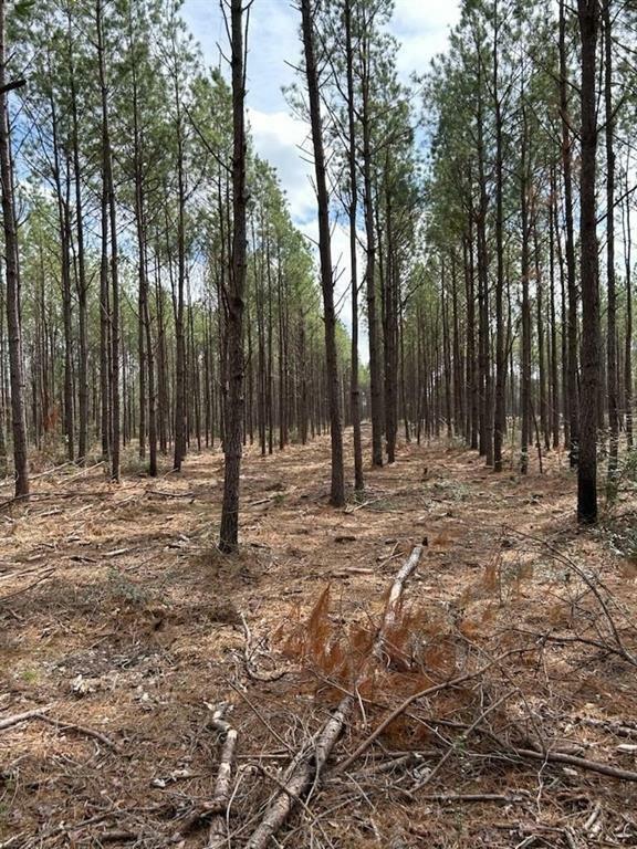 Property Photo: Tract 2 Lloyd Walker Road TX 75949