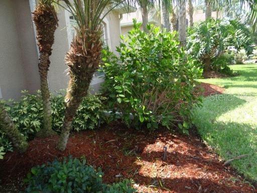 Property Photo:  2811 Suncoast Lakes Boulevard  FL 33980 