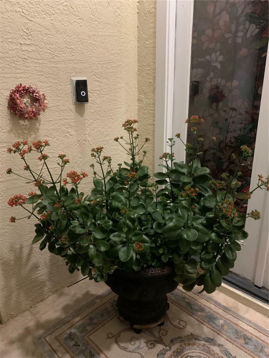 Property Photo: 1121 Arbor Glen Circle FL 32708