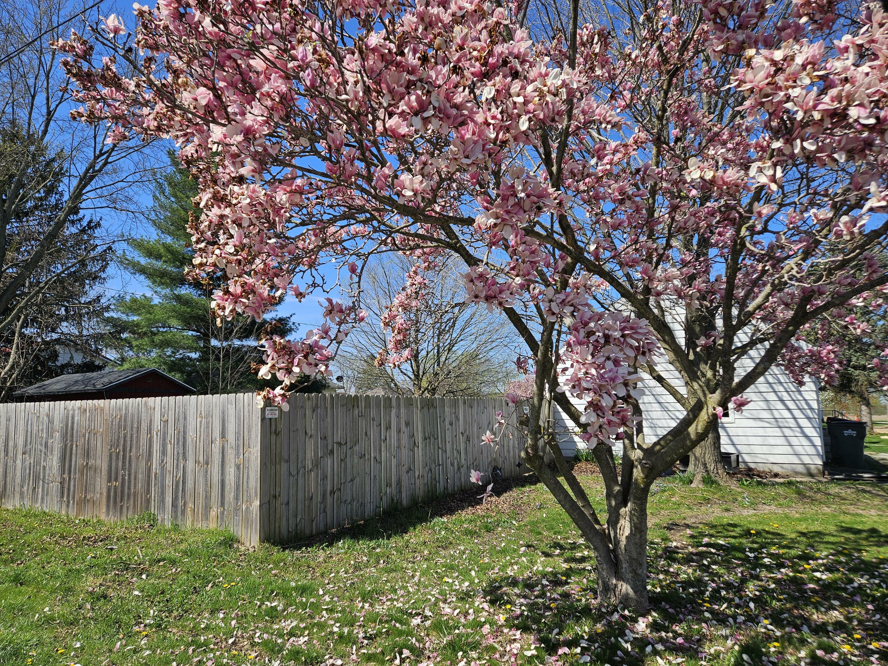 Property Photo: 9 W Michigan Street MI 49128