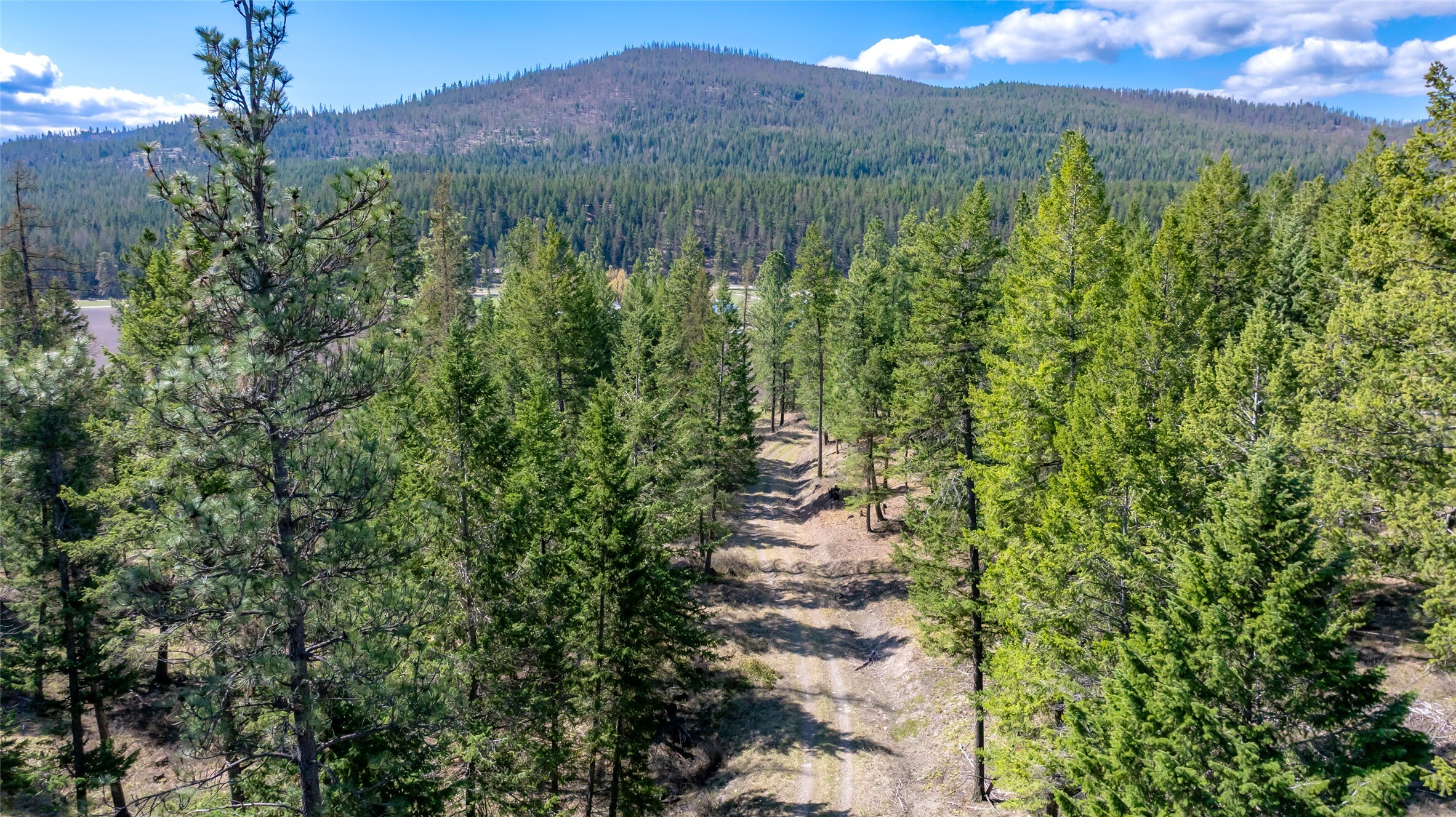 Property Photo: 380 Viano Lane MT 59901