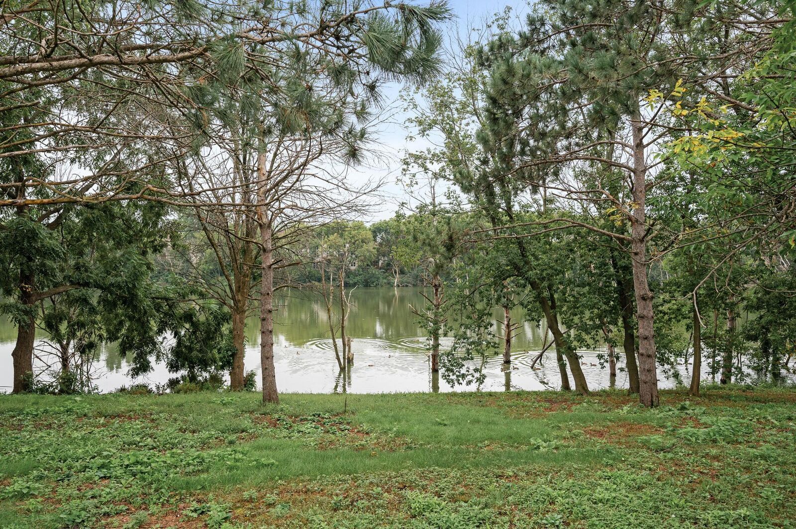 Property Photo: 15368 Chili Court MN 55068