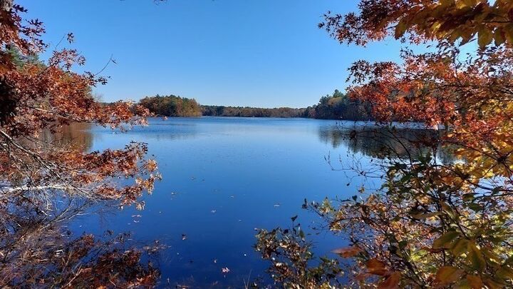Property Photo:  260 Massapoag Ave  MA 02356 
