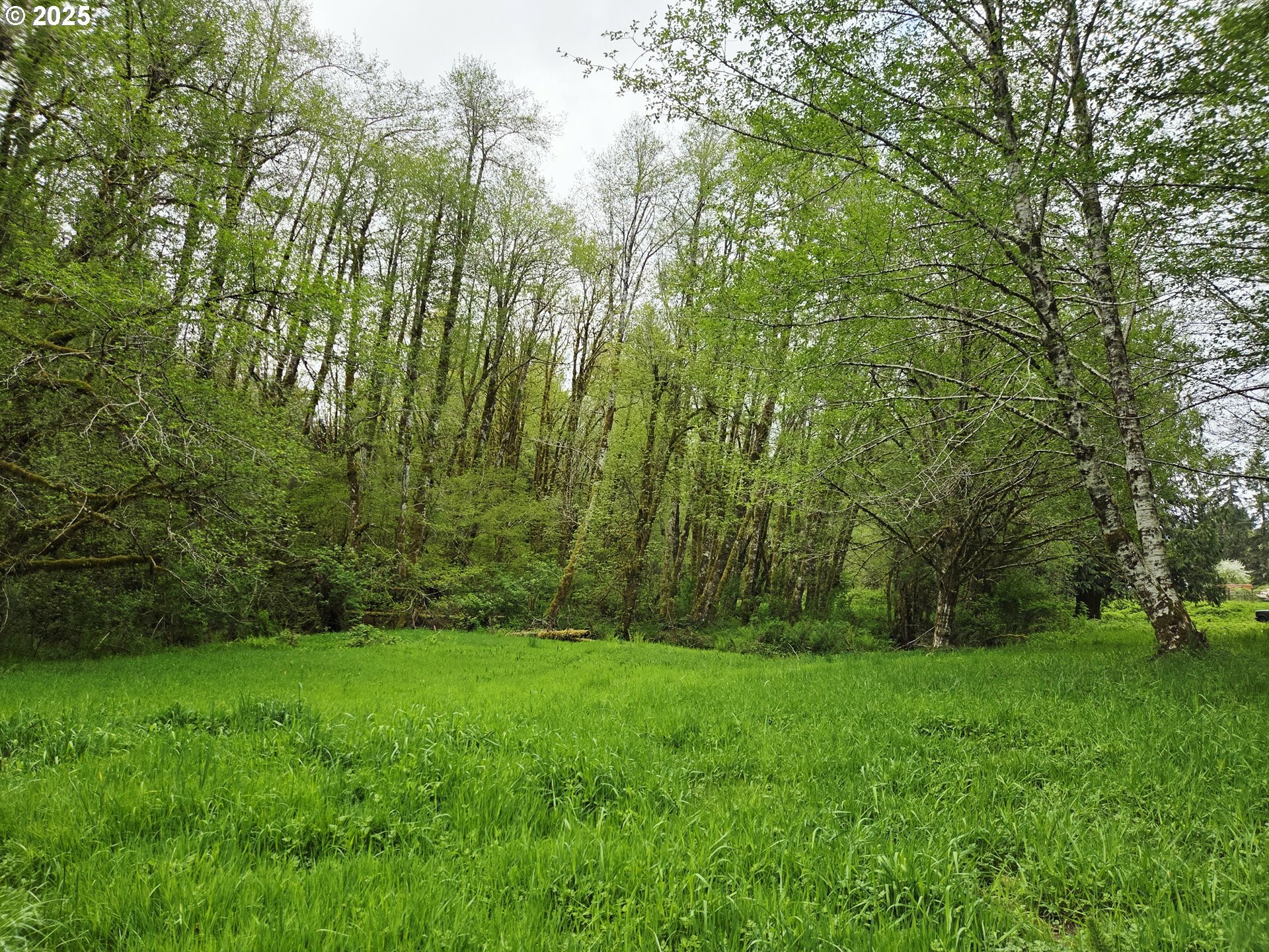 Property Photo: 82467 Crowder Rd OR 97138