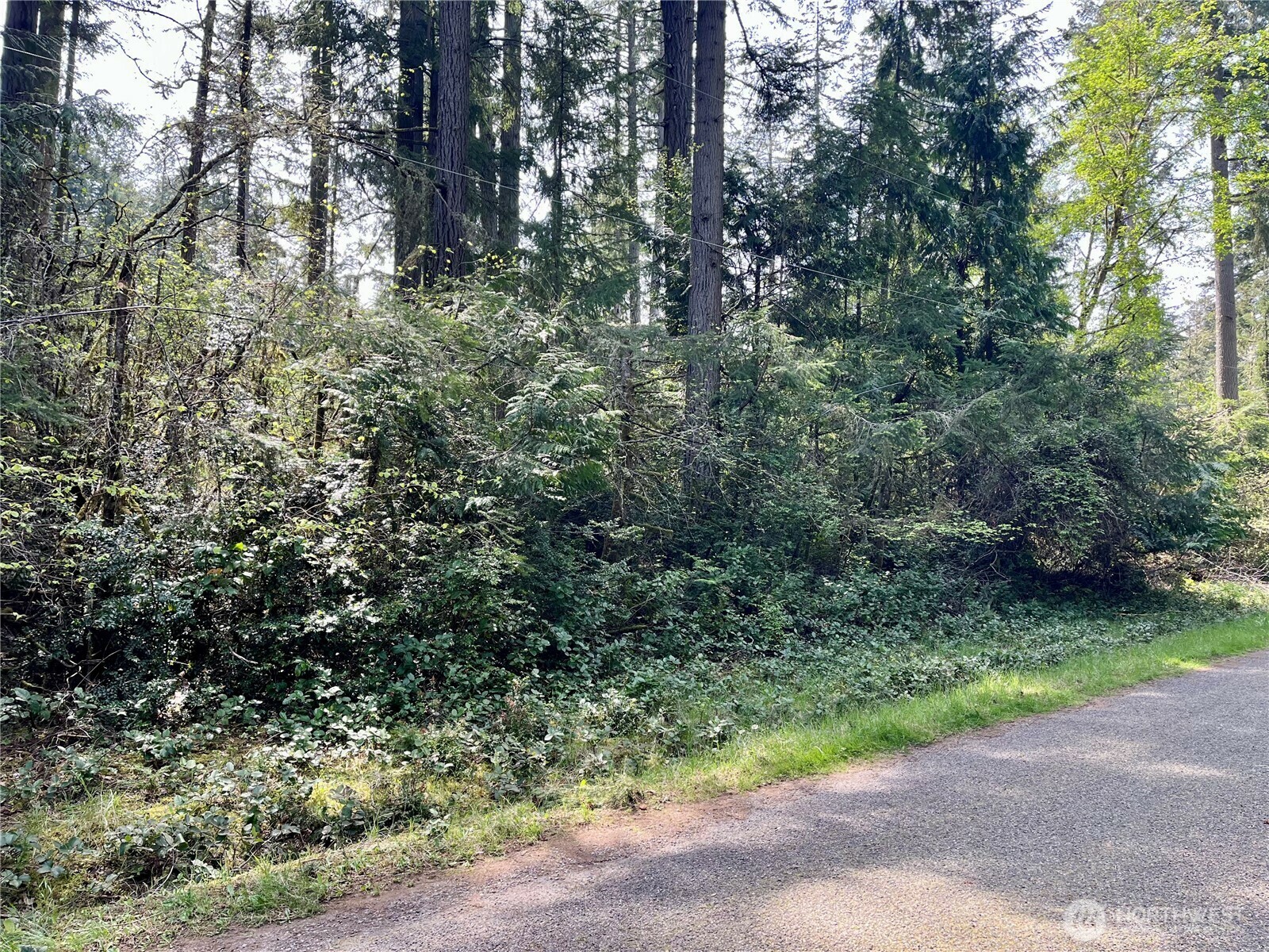 Property Photo: 11212 &11208 106th Street WA 98303
