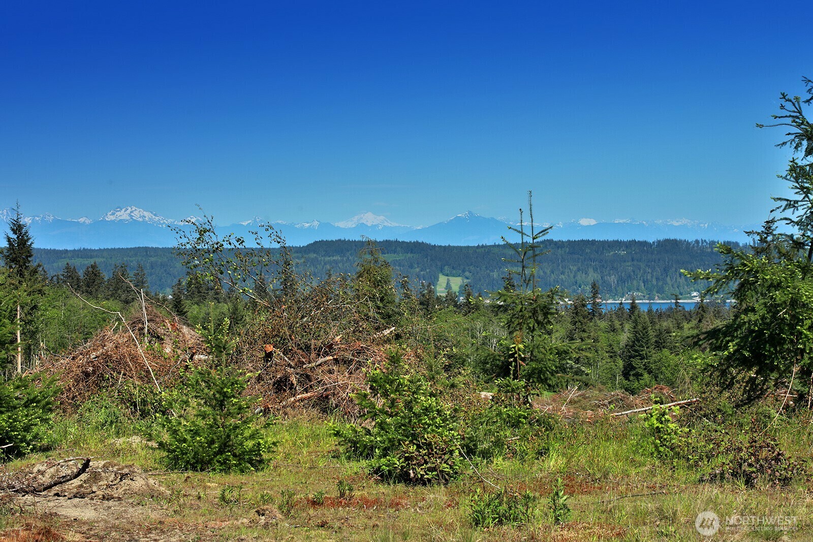 Property Photo: 0 Woodland Lane WA 98249