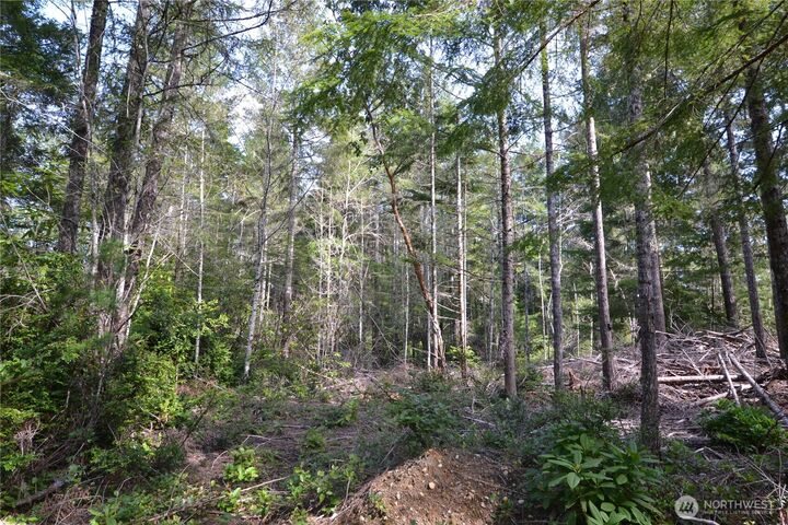 Property Photo: 0 Beal Place WA 98383