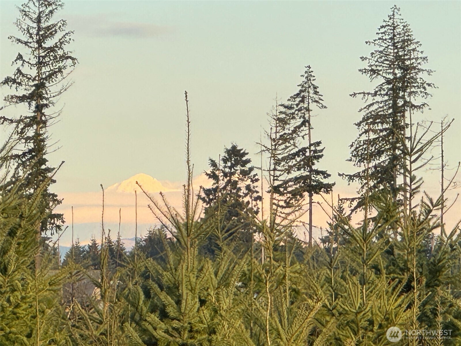 Property Photo: 378 Hawkins Road WA 98565