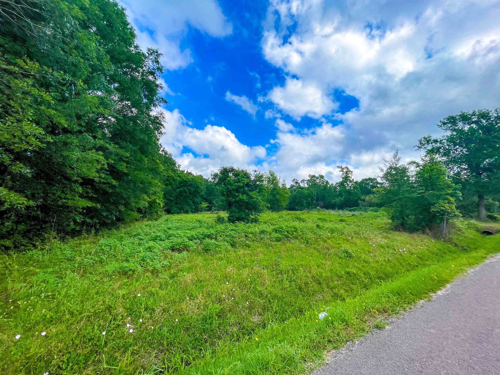 Property Photo: 785 E Bolivar St TX 77662