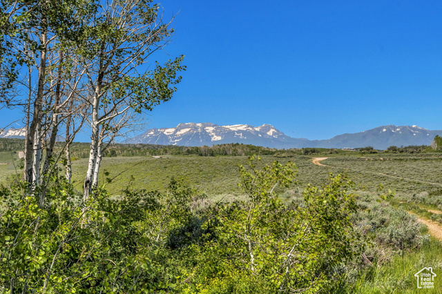 2980 N Wolf Creek Ranch Rd 54  Heber City UT 84032 photo