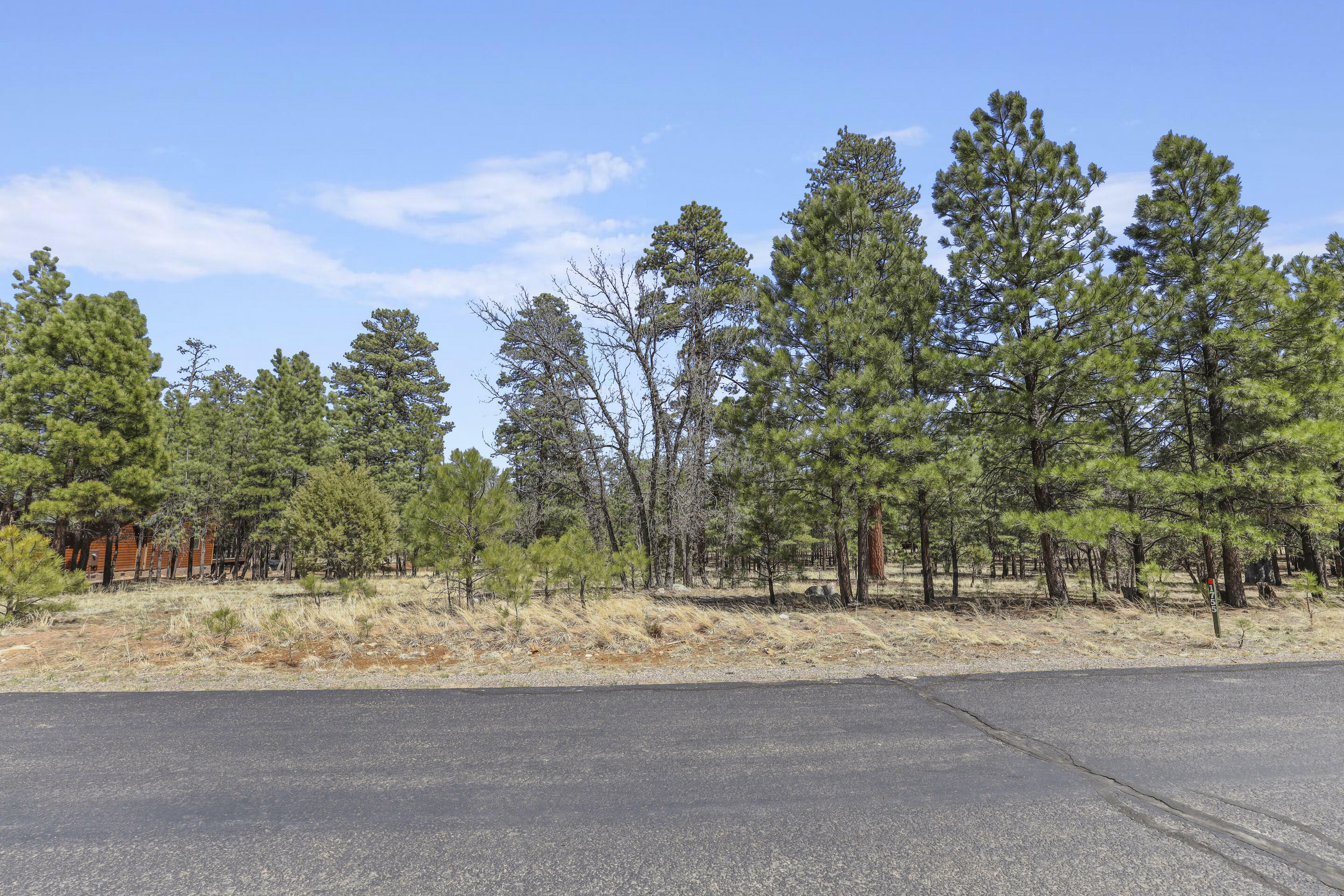 Property Photo: 1755 Sugar Pine Drive AZ 86024