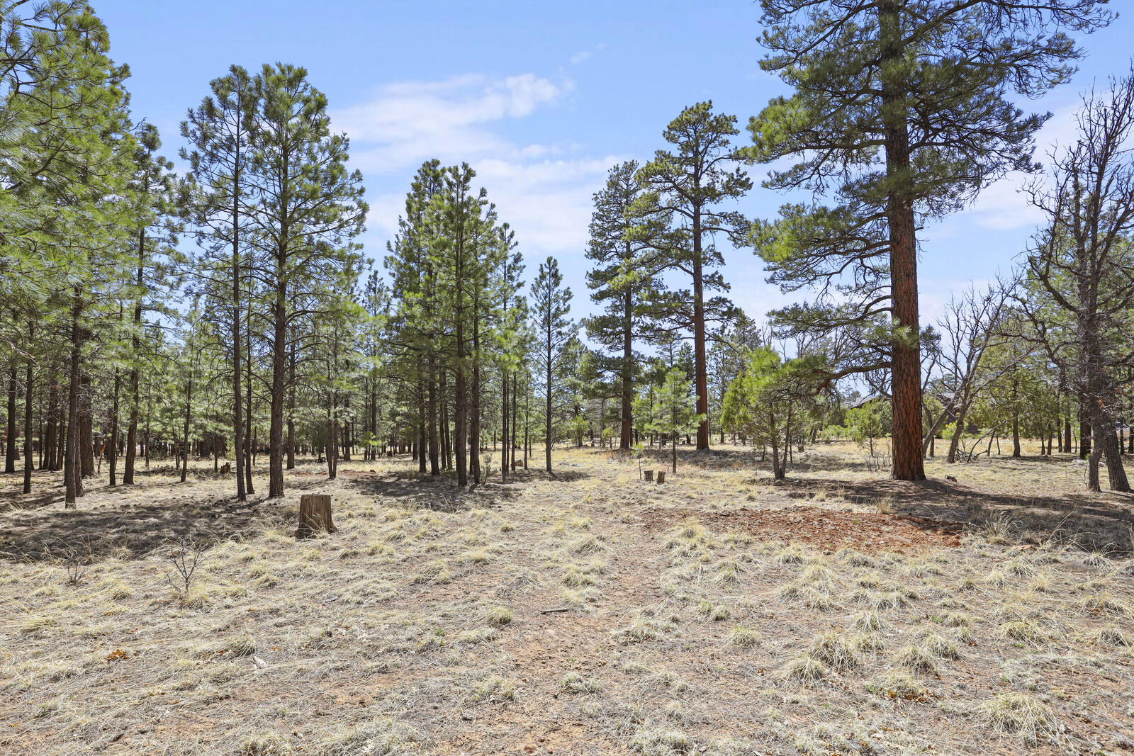 Property Photo:  1755 Sugar Pine Drive  AZ 86024 