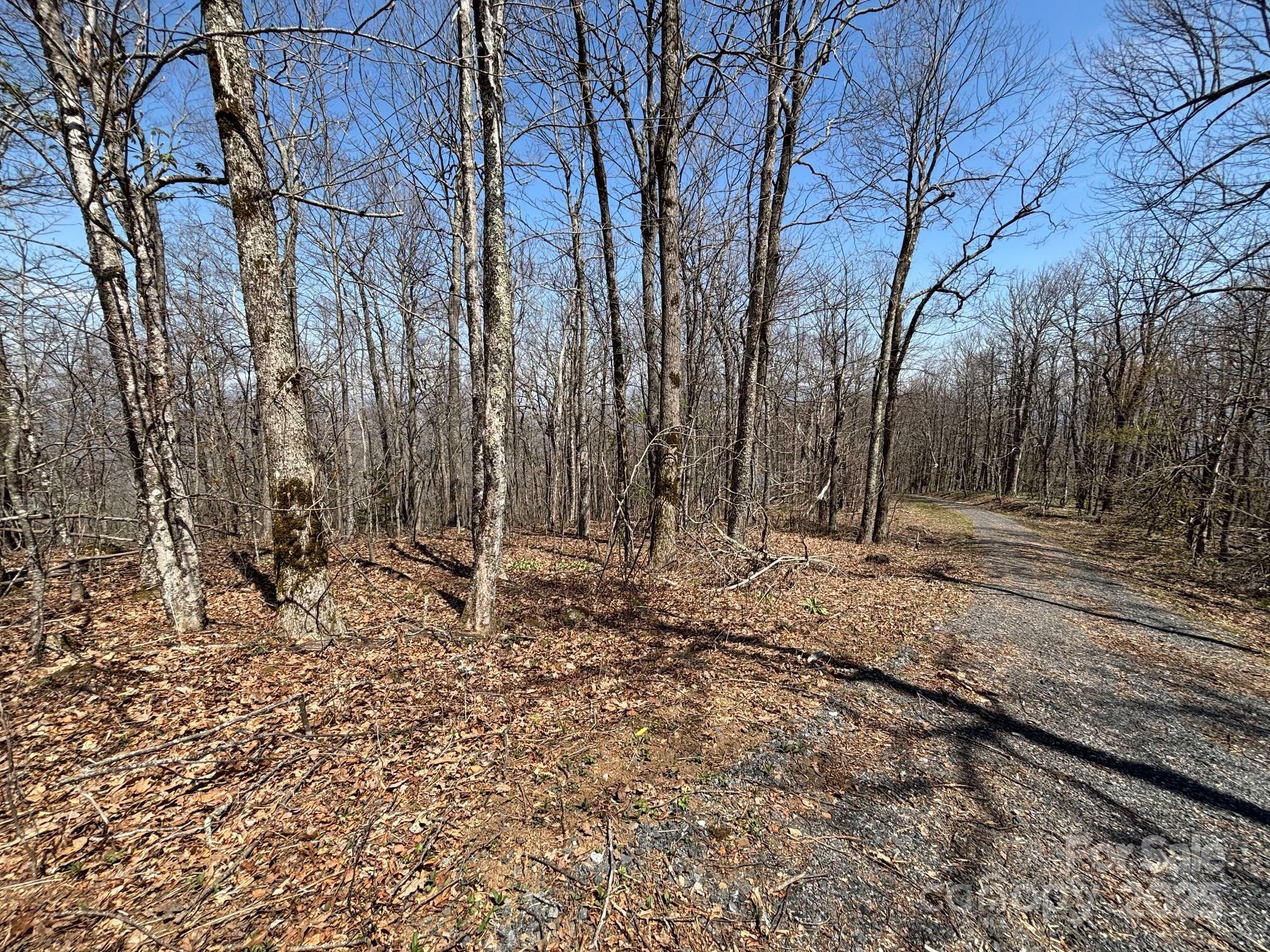 Property Photo: Tbd Arrowhead Ridge Road NC 28777