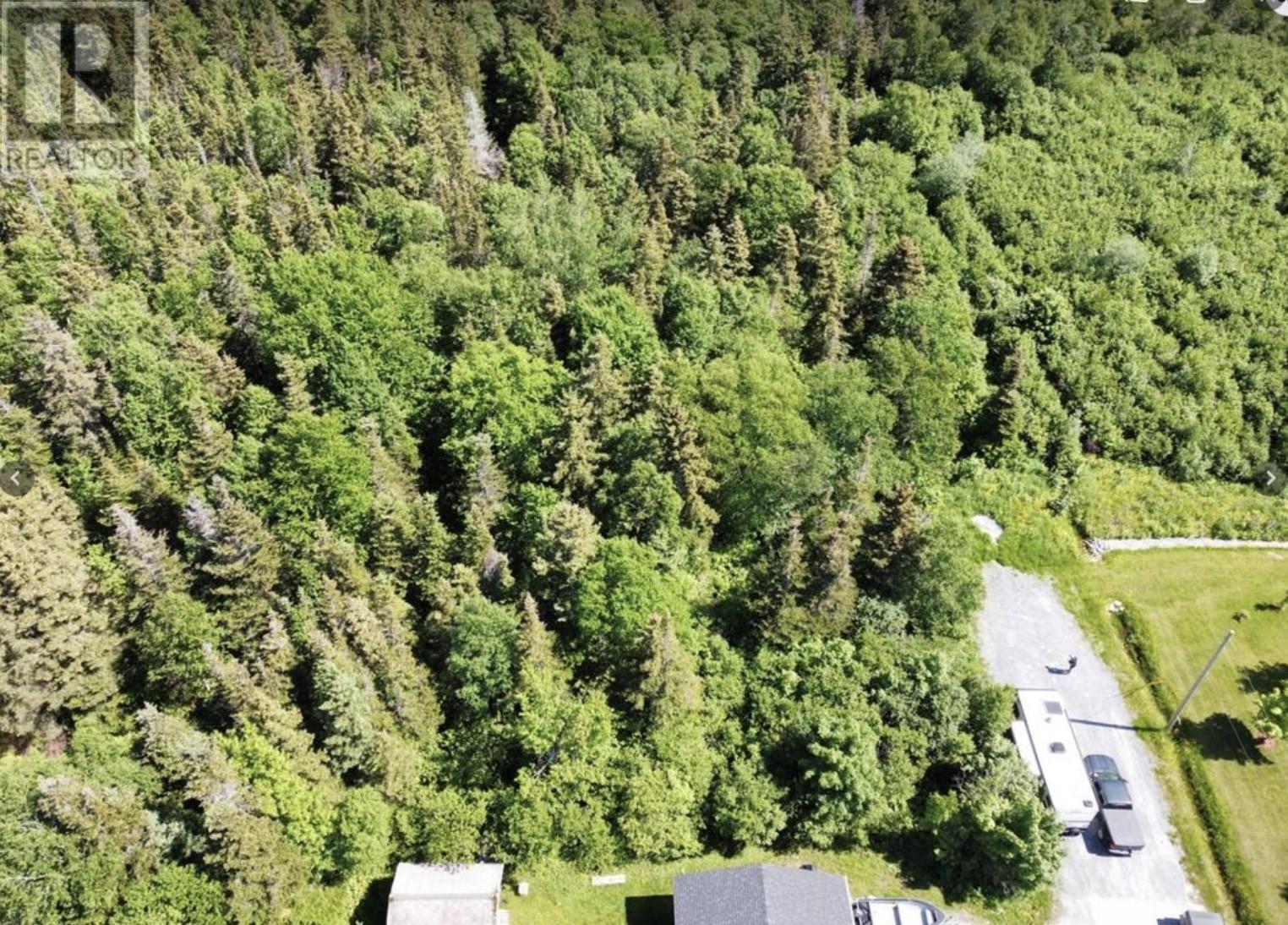 Property Photo:  21-35 Bishop Avenue  NL A2H 1K0 