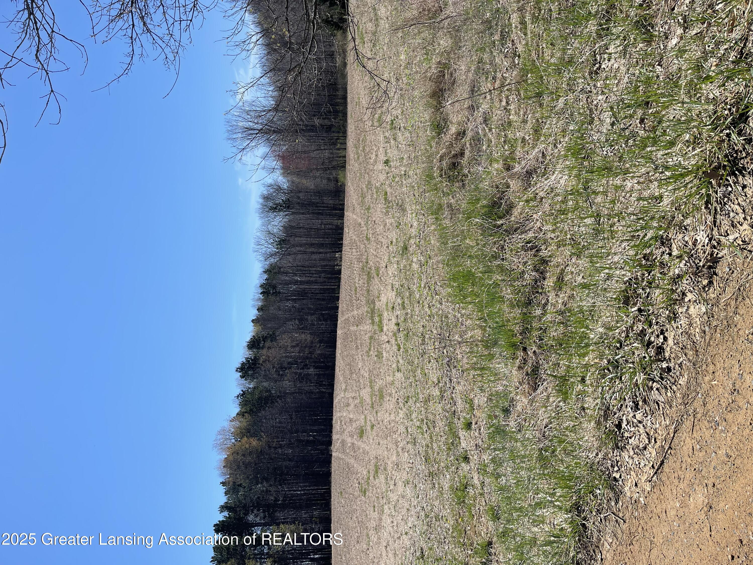 Property Photo: 0 W Spicerville Highway MI 48813