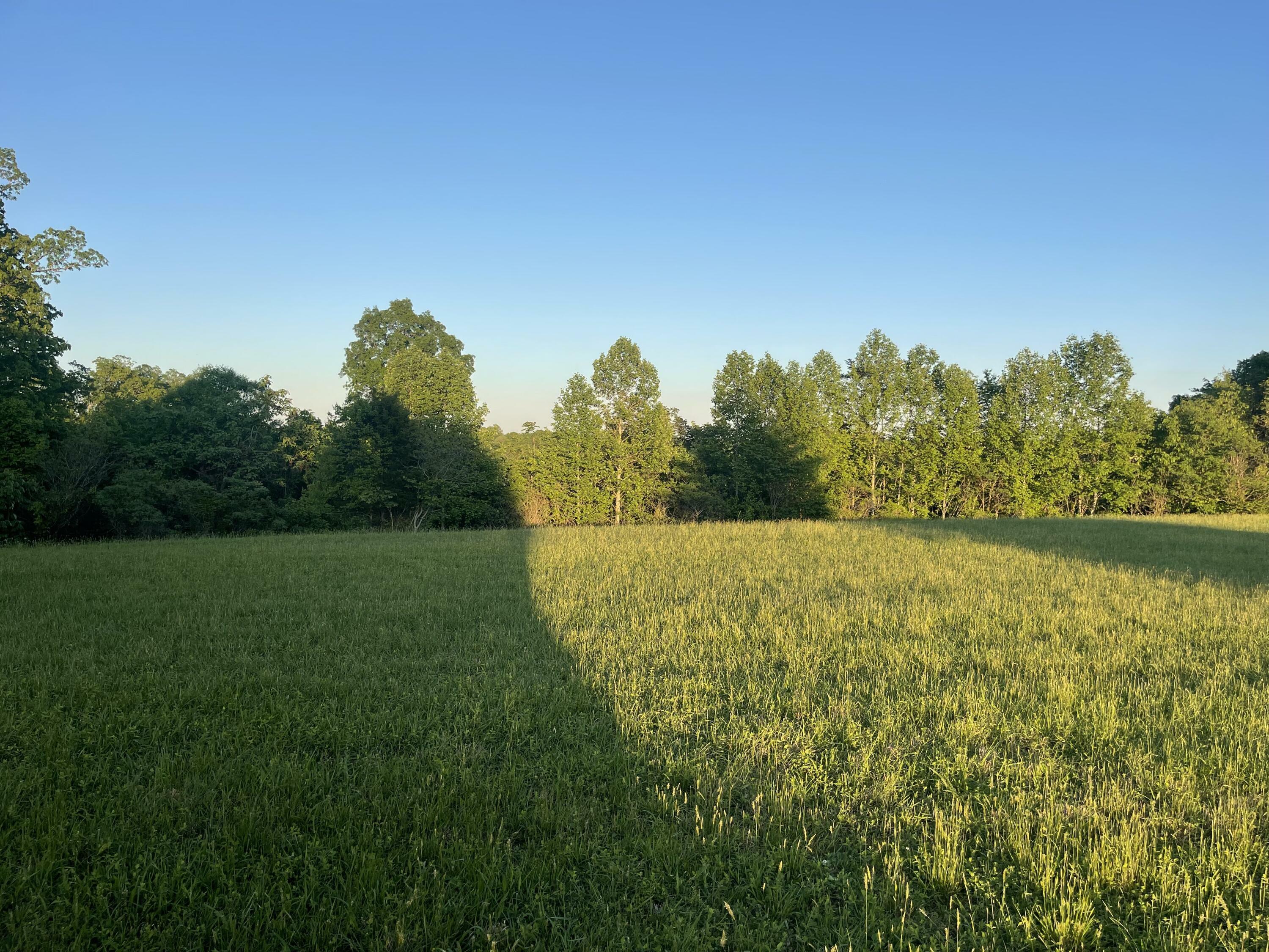 Property Photo: Lot 42 Parks Ridge KY 42642