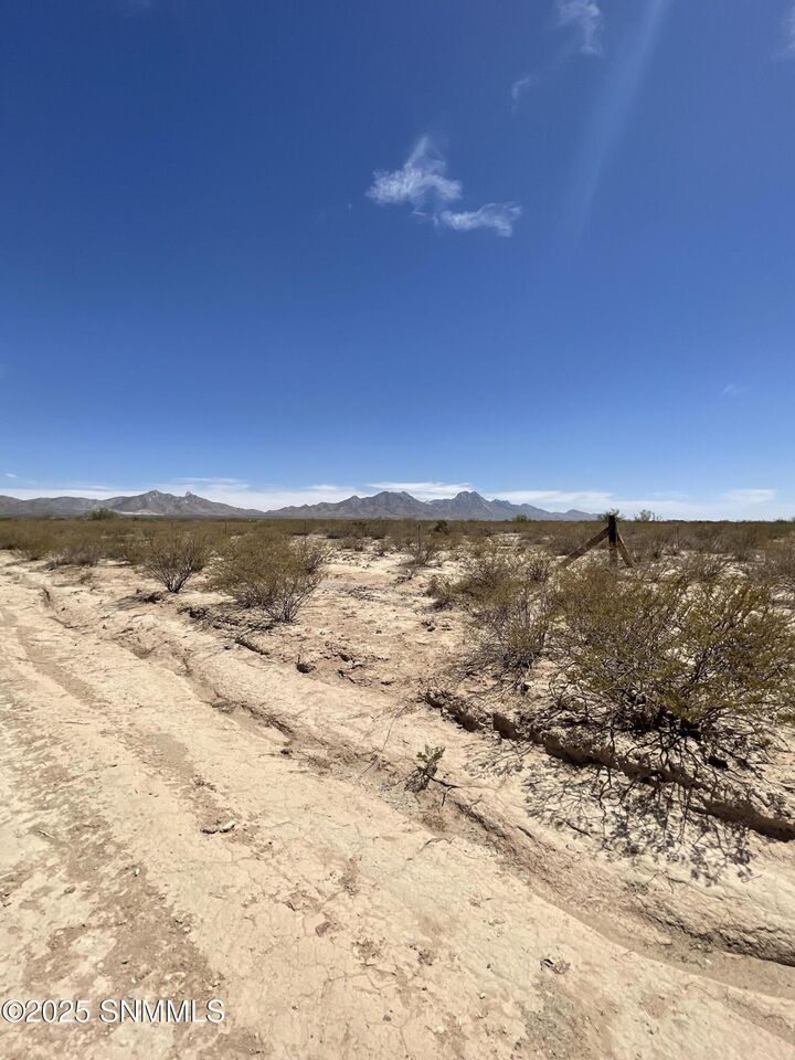 Property Photo:  9345 Rabbit Run Road  NM 88012 
