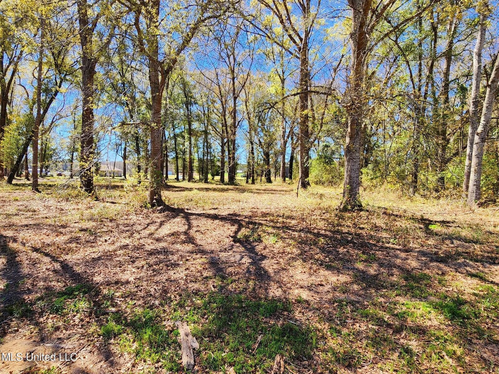 Property Photo: 3.94ac Yellow Bluff Road MS 39452