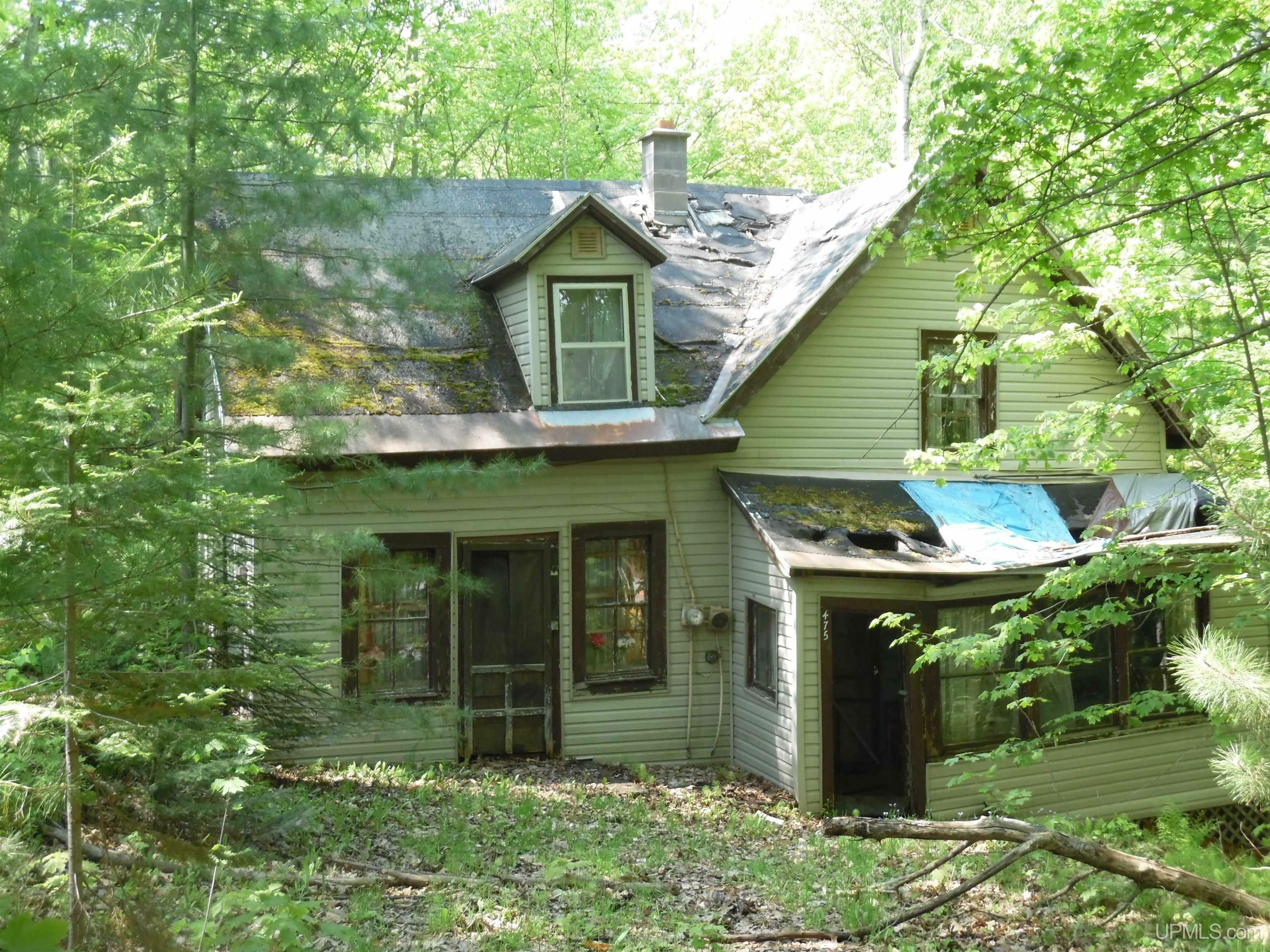 Property Photo:  475 Poplar Street  MI 49945 
