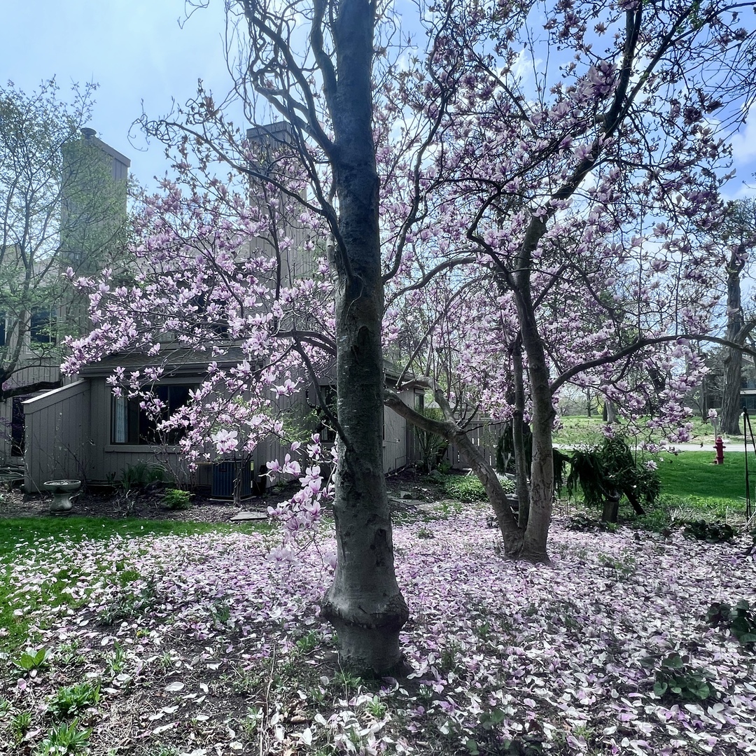 Property Photo:  571 N Old Barn Road  IL 60010 