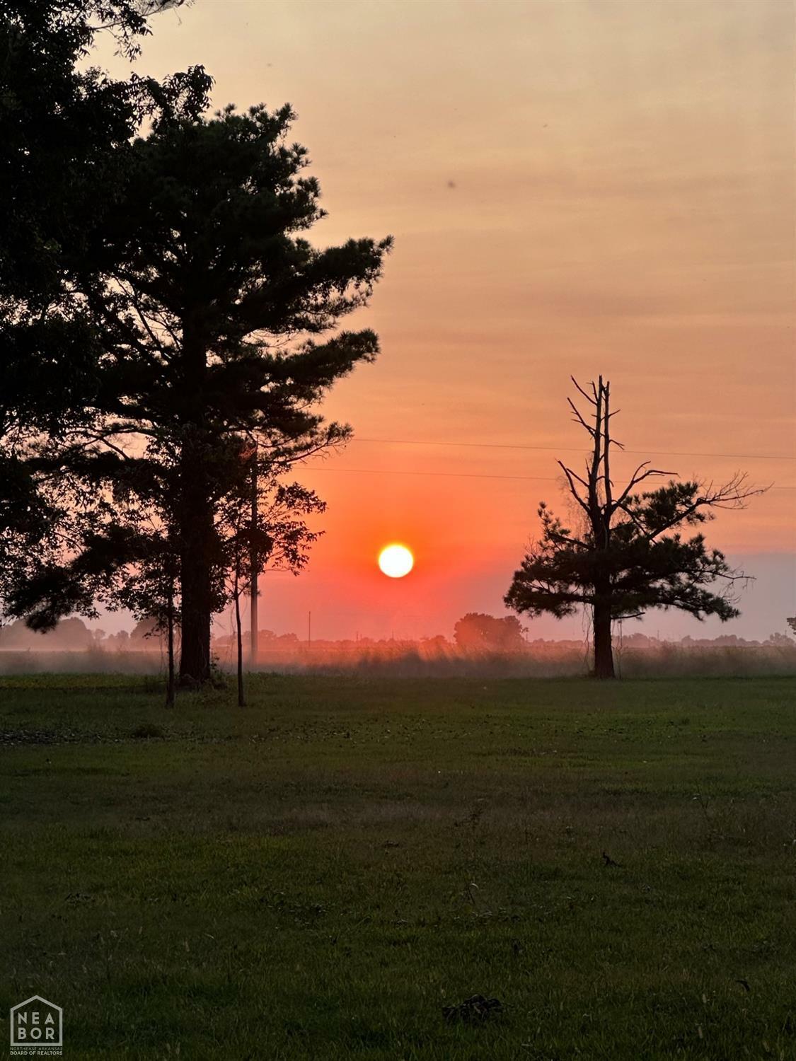 Property Photo: 3337 E County Road 70 AR 72315