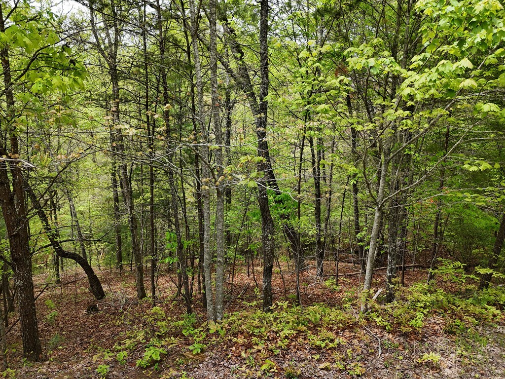 Property Photo: Lot 20 Crabapple Lane GA 30559