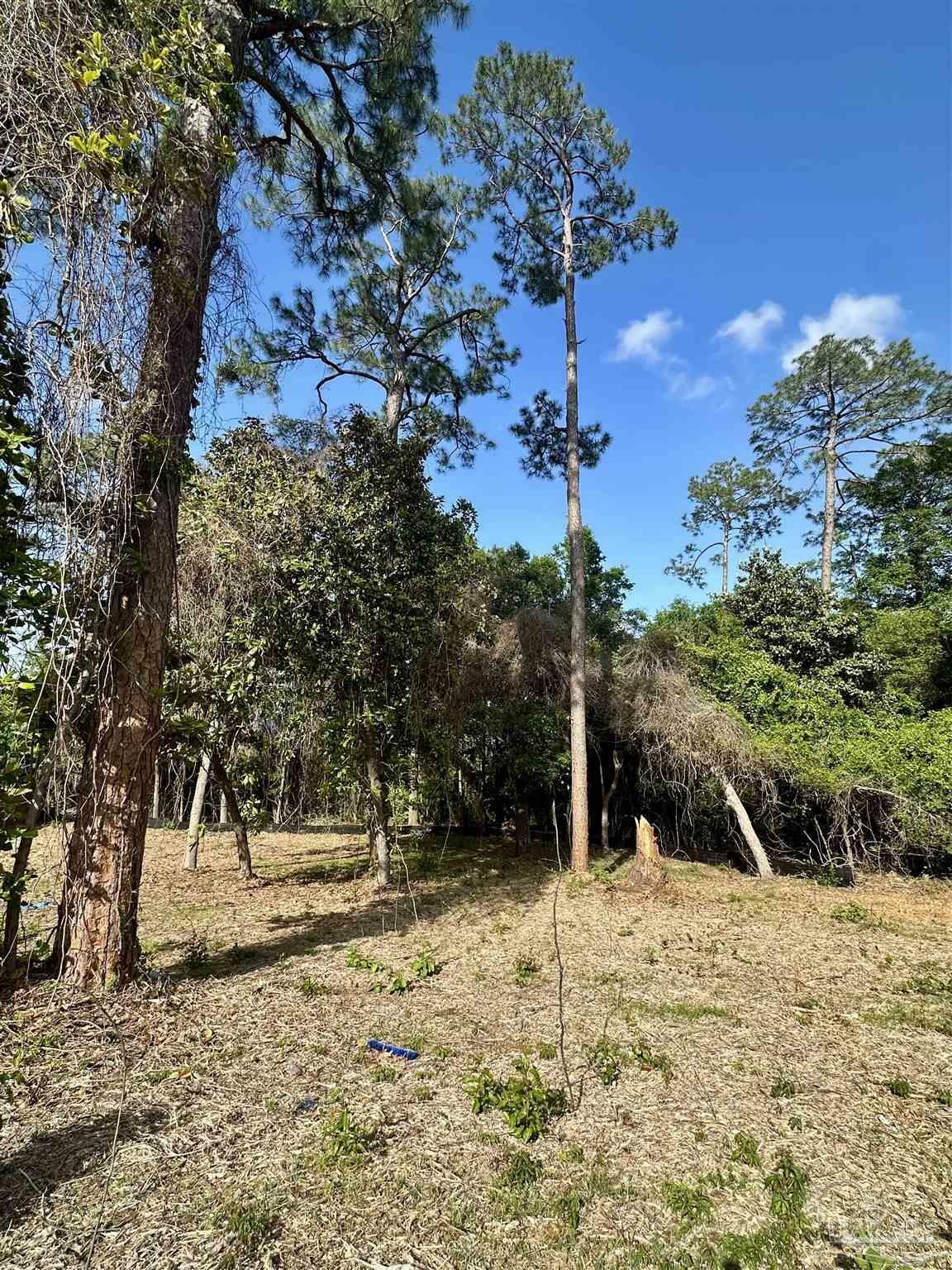 Property Photo: 3018 Pelican Ln FL 32514