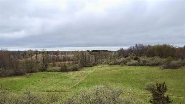 3131 S Lapeer Road  Metamora Twp MI 48455 photo
