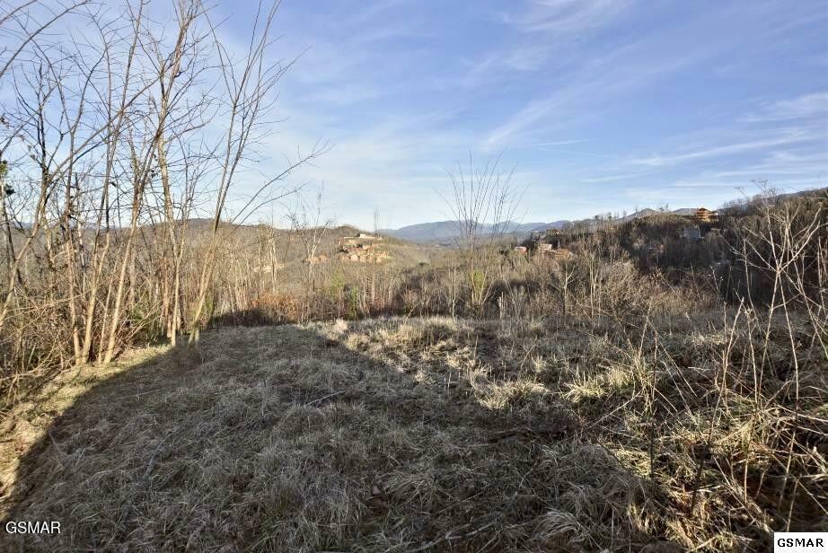 Property Photo: 429 Red Hawk Way TN 37738