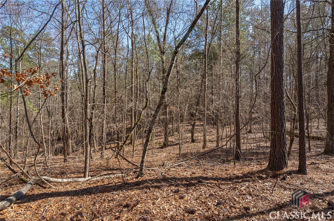 Property Photo: 0 Kent Rock Road GA 30052