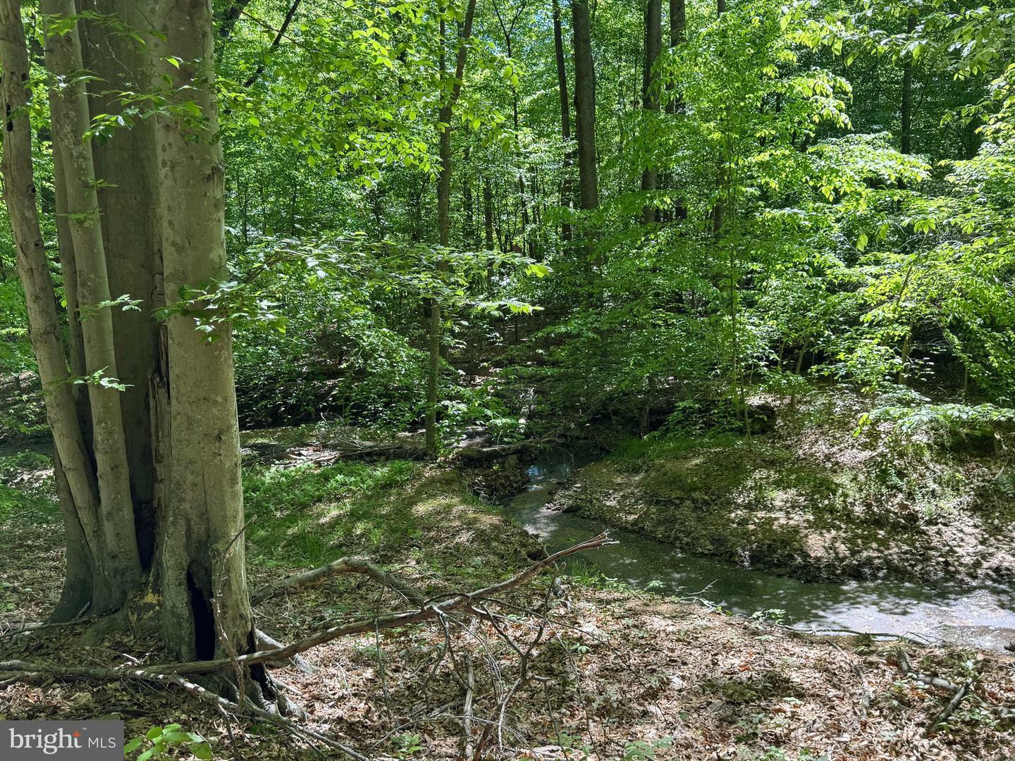 Property Photo: 12868 Paddle Wheel Court VA 20112