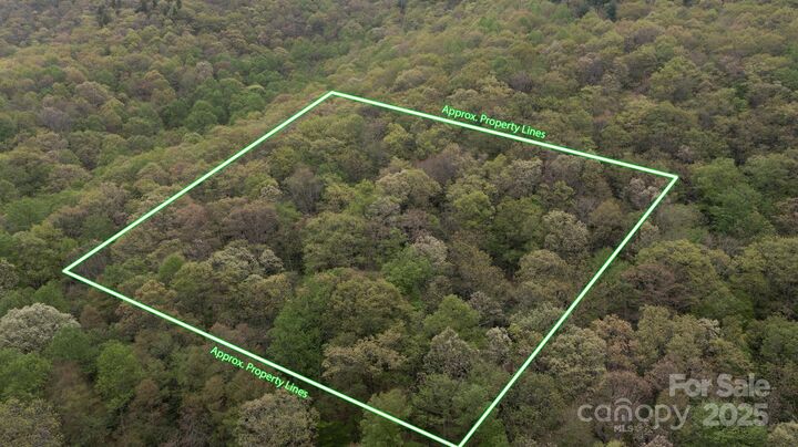 Property Photo: Tbd Clear Creek Road NC 28714