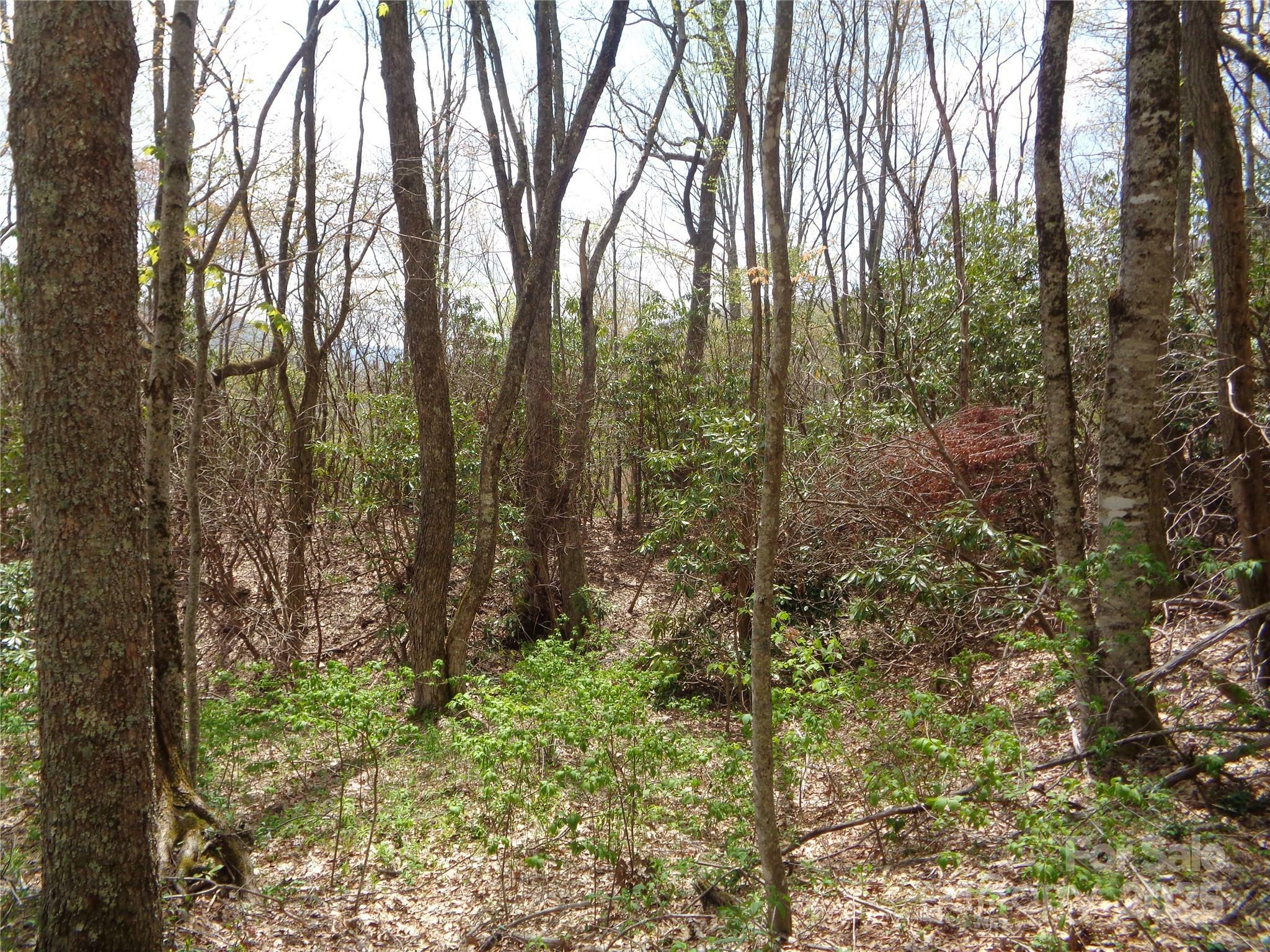 Property Photo:  00 Bent Tree Road  NC 28751 