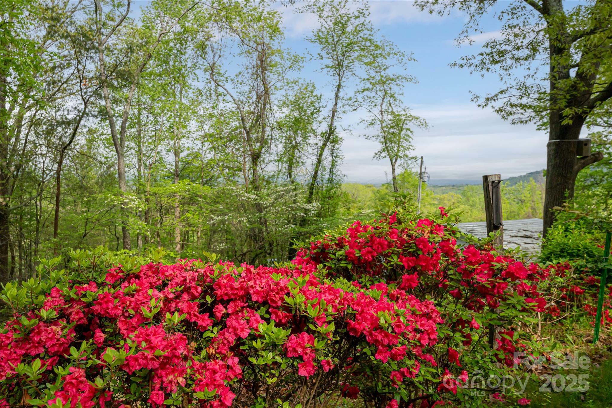 Property Photo: 25 Coal Creek Lane NC 28787