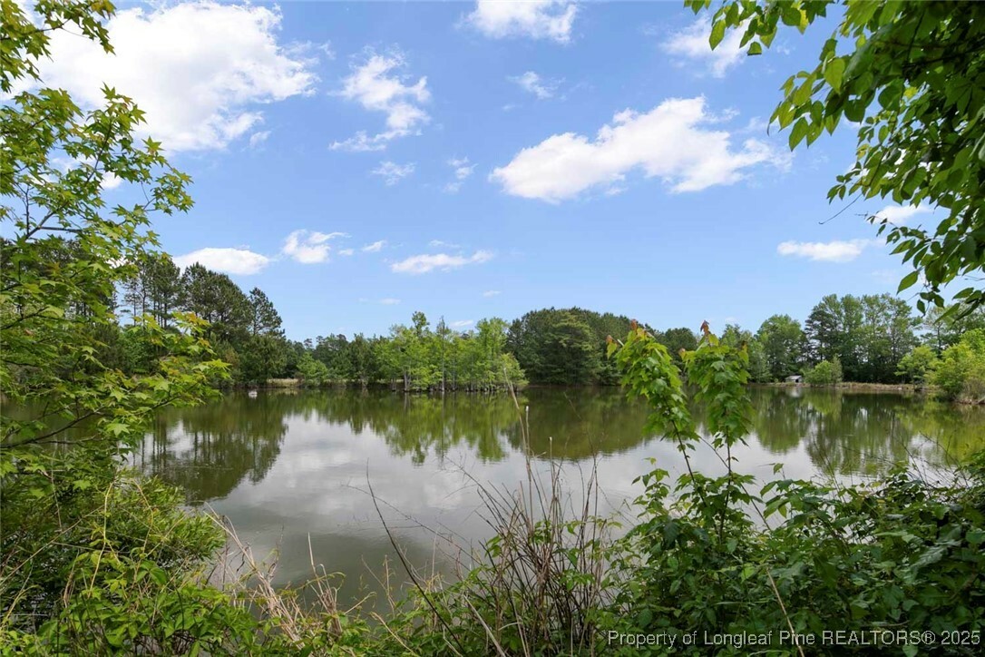 Property Photo: 1445 Bethel Baptist Road NC 28390