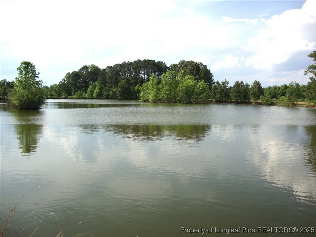 Property Photo: 1445 Bethel Baptist Road NC 28390
