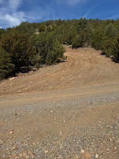 Larry'S Lane  Cedar Crest NM 87008 photo