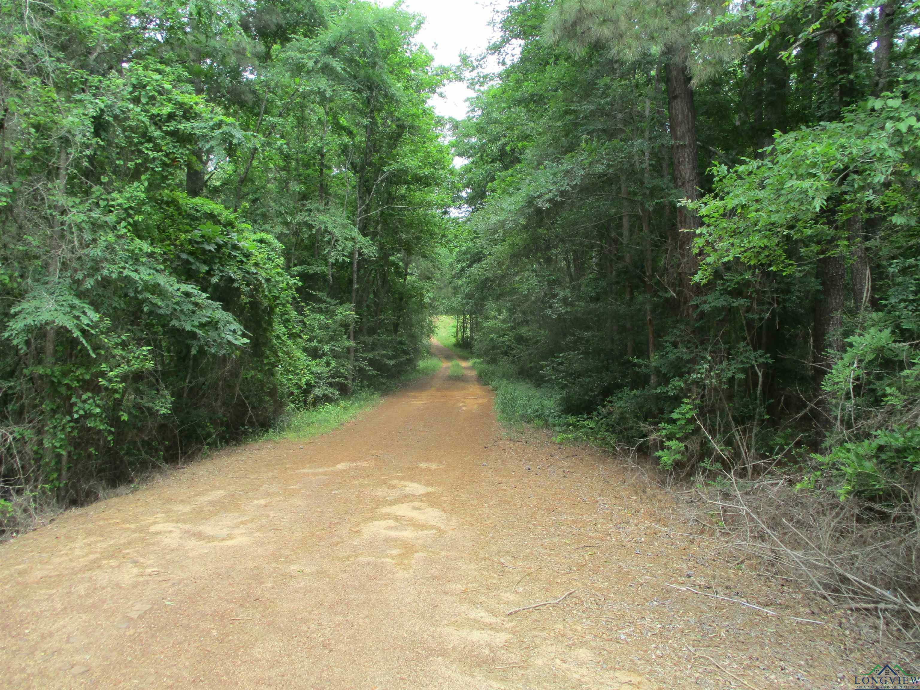 Property Photo: 3200 Block Cr 102 W TX 75782-00