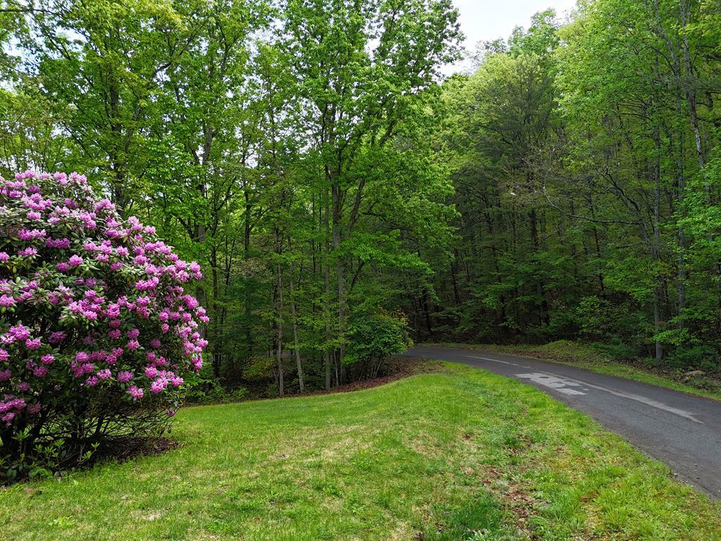 Property Photo: L93 - 95 Timberline GA 30582