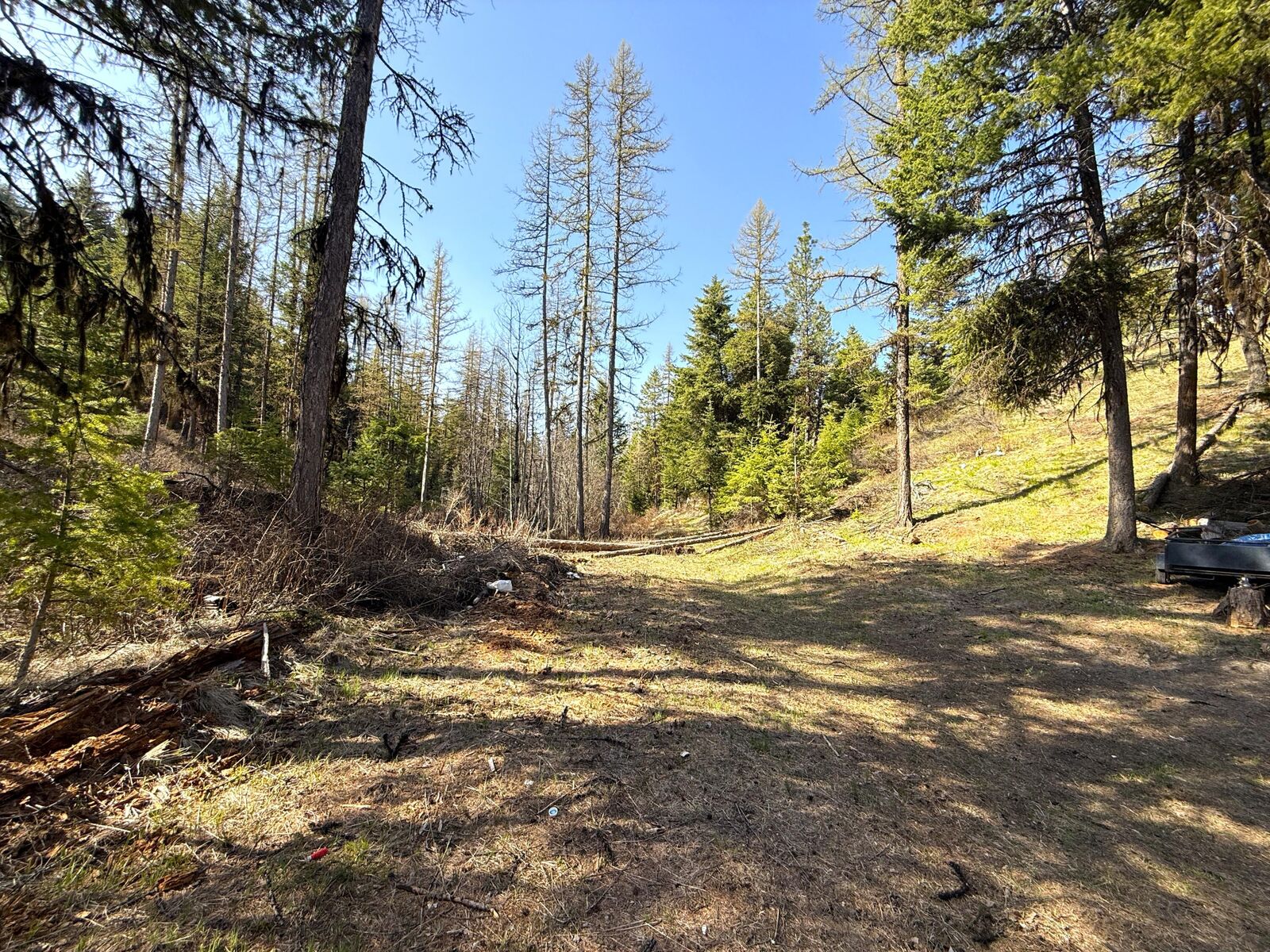 Property Photo:  Tbd Giveout Creek Rd  WA 98859 