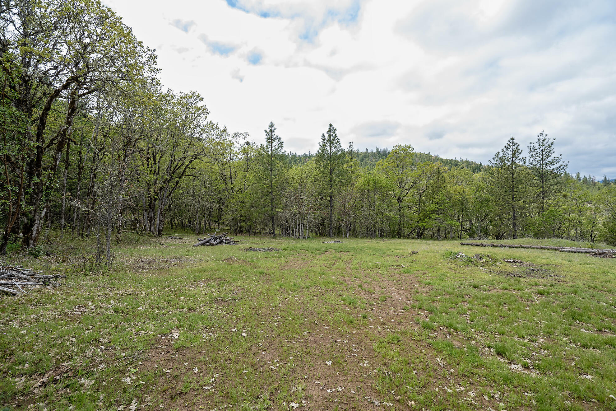 Property Photo: 0 Cabetowne Way OR 97539
