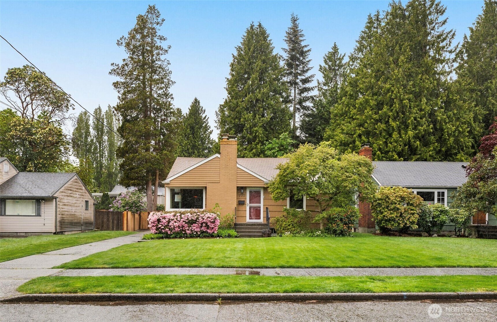 7717  33rd Avenue NE  Seattle WA 98115 photo