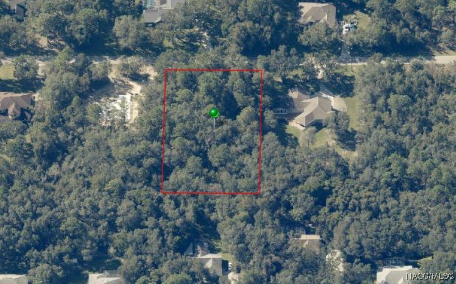 Property Photo:  893 W Pearson Street  FL 34442 