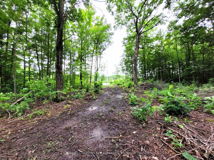 Property Photo:  0 Spry Road  ON K0K 3E0 