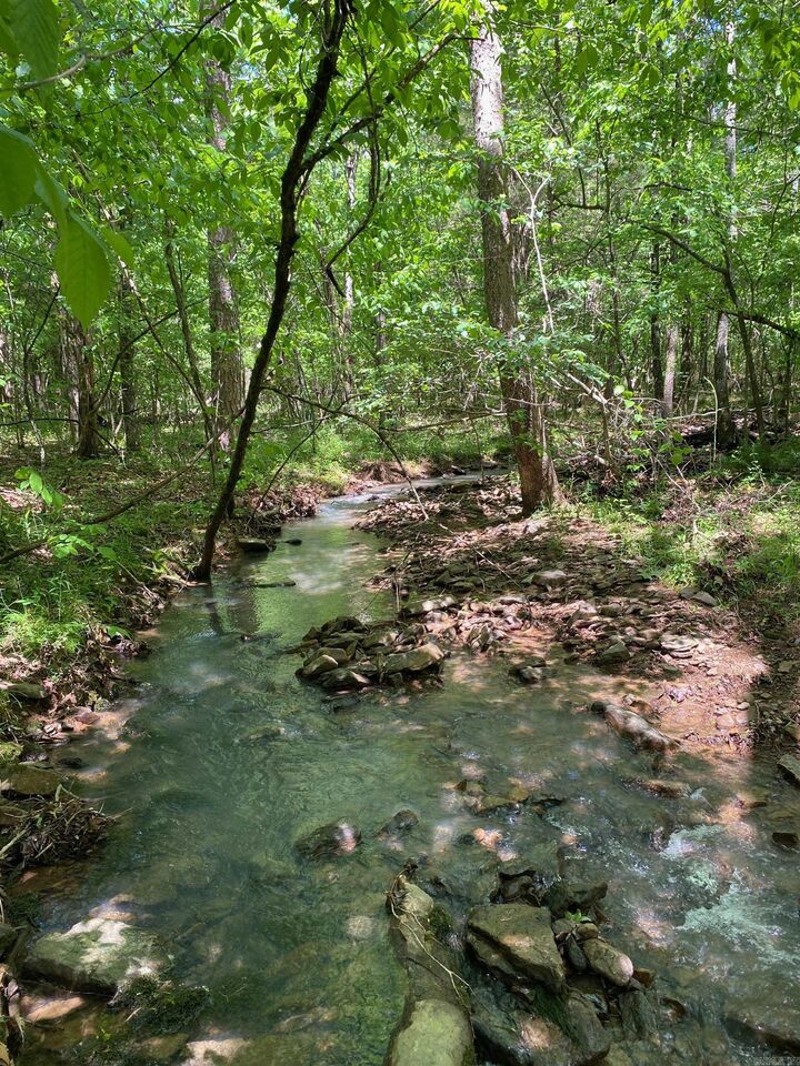 Property Photo: Hwy 164 AR 72846