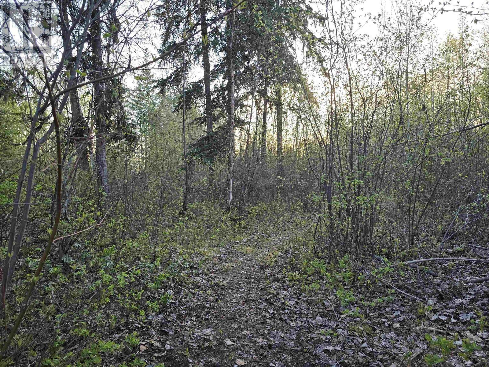 Property Photo:  A Feldspar Avenue Parcel  BC V2J 4P3 
