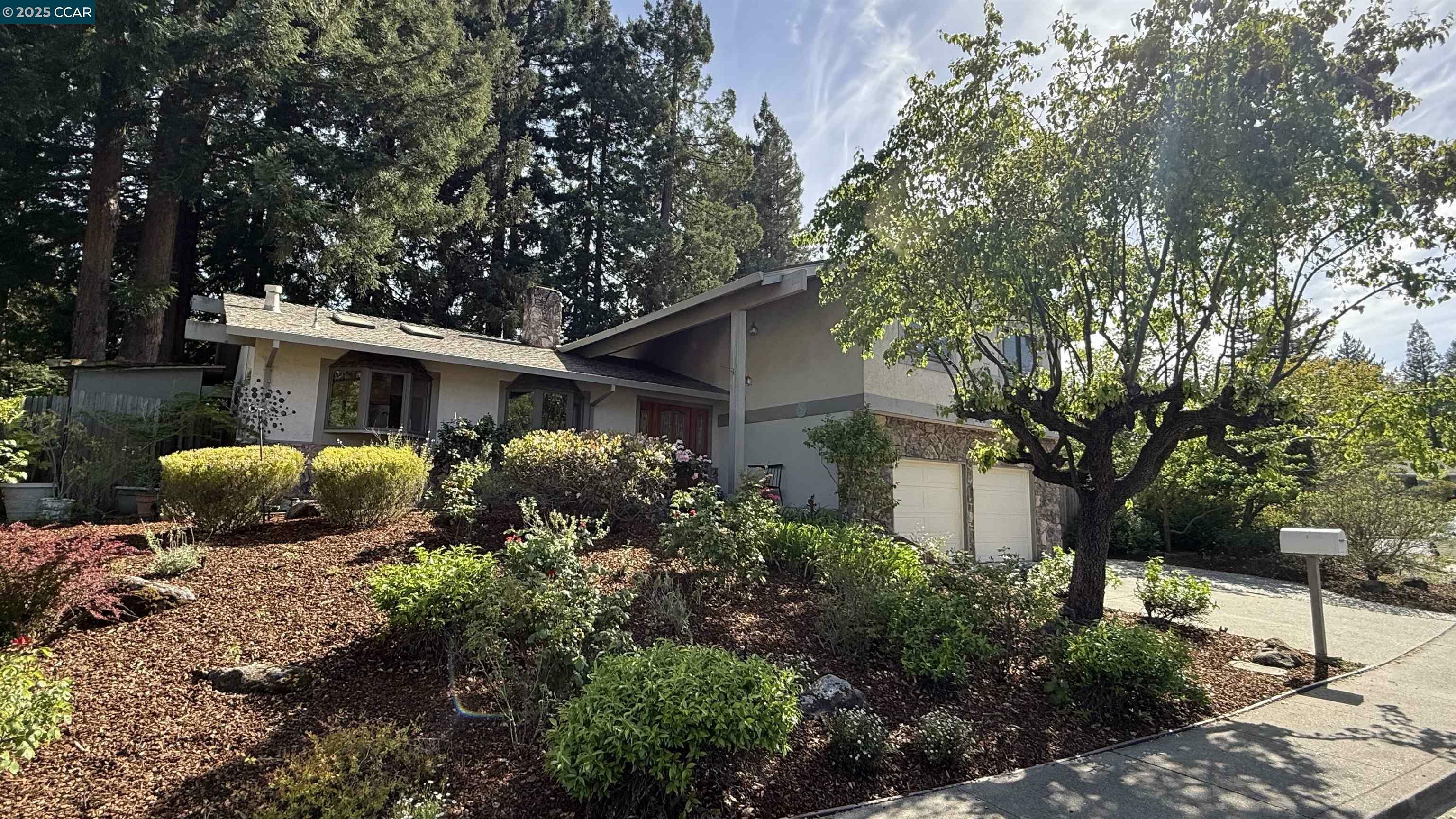 Property Photo: 229 Devon Ave CA 94523