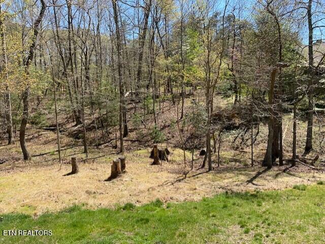 Property Photo:  Mariners Point  TN 38558 